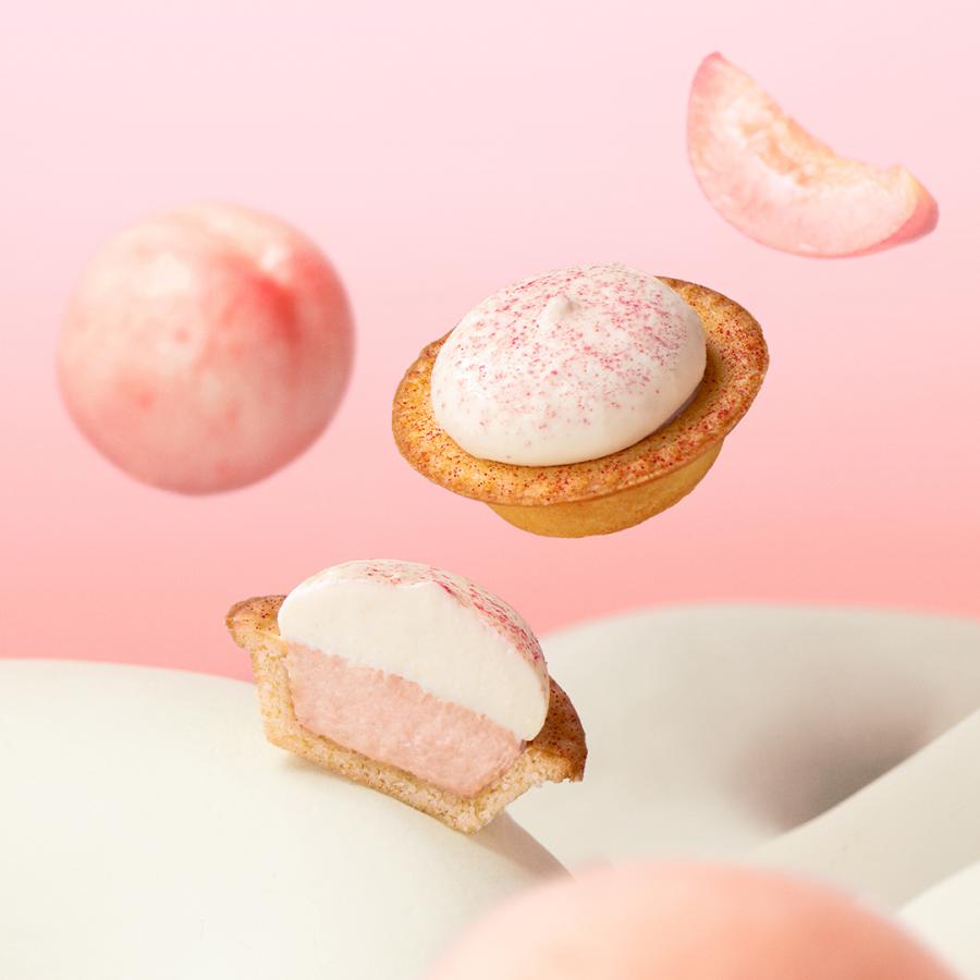 BAKE CHEESE TART（ベイクチーズタルト） 中元 夏ギフト 2026 洋菓子