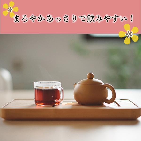 ハブ茶 200g×10袋 健康茶 ケツメイシからできたお茶 : バク