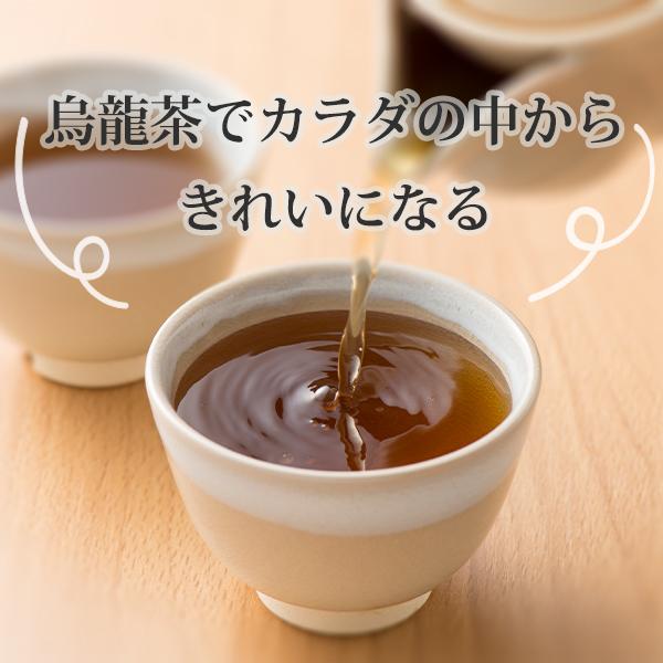 烏龍茶 国産 2g×100p ティーバッグ ウーロン茶 メール便送料無料 烏龍茶 国産 2g×100p ティーバッグ ウーロン茶 メール便送料無料