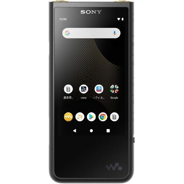 SONY（ソニー） ウォークマン WALKMAN 2019年モデル NW-ZX507-BM ZX