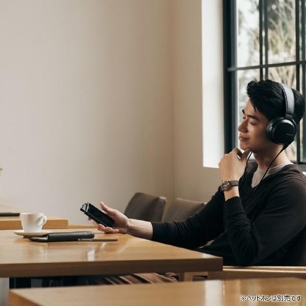 SONY（ソニー） ウォークマン WALKMAN 2019年モデル NW-ZX507-BM ZX
