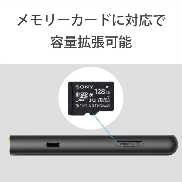 SONY（ソニー） ウォークマン WALKMAN 2019年モデル NW-ZX507-BM ZX