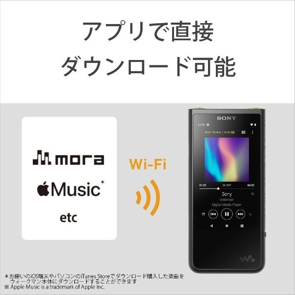 SONY（ソニー） ウォークマン WALKMAN 2019年モデル NW-ZX507-BM ZX