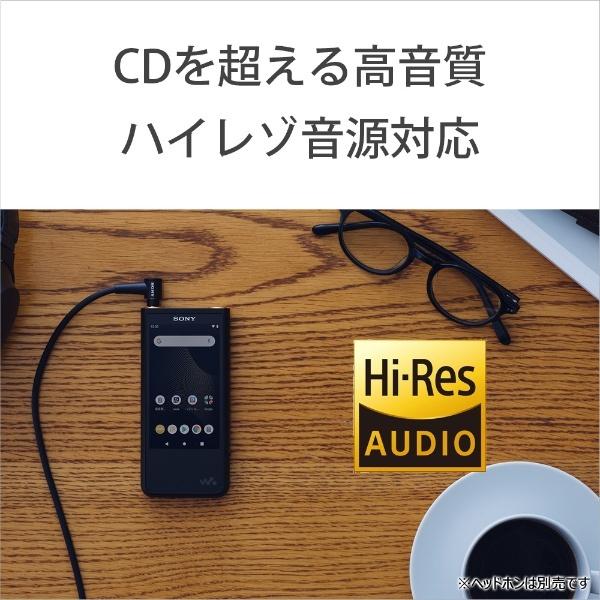 SONY（ソニー） ウォークマン WALKMAN 2019年モデル NW-ZX507-BM ZX