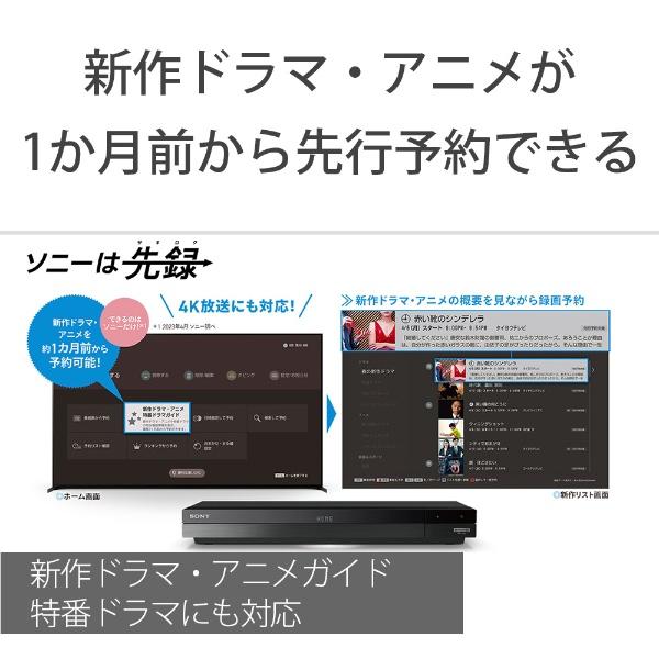 SONY（ソニー） ブルーレイレコーダー BDZ-FBT4200 [4TB 3番組同時録画