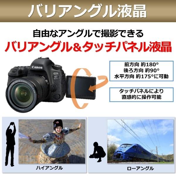 楽天ランキング1位 キヤノン Canon Eos 6d Mark Ii デジタル一眼レフカメラ ボディ単体 高い品質 Claves Org Uy