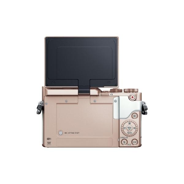 Panasonic（パナソニック） Panasonic LUMIX GF10ミラーレス一眼カメラ