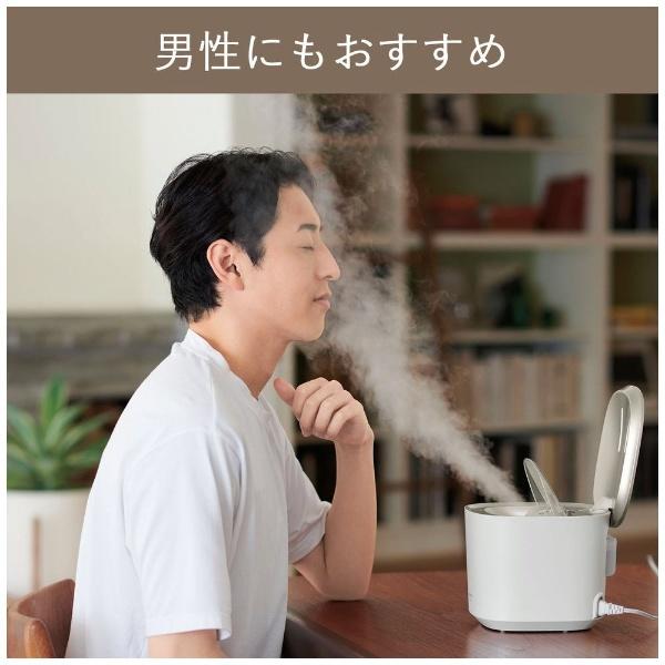 Panasonic フェイススチーマー ナノケア ゴールド調 EH-SA0B-N ナノケア ゴールド調 EH SA0B フェイススチーマー