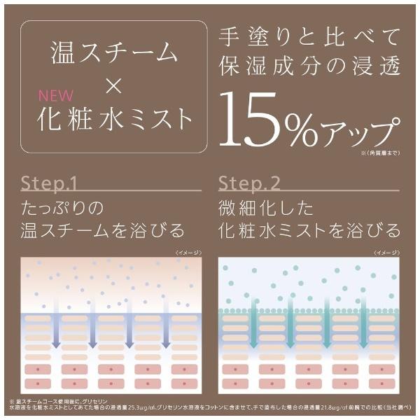 Panasonic フェイススチーマー ナノケア ゴールド調 EH-SA0B-N ナノケア ゴールド調 EH SA0B フェイススチーマー
