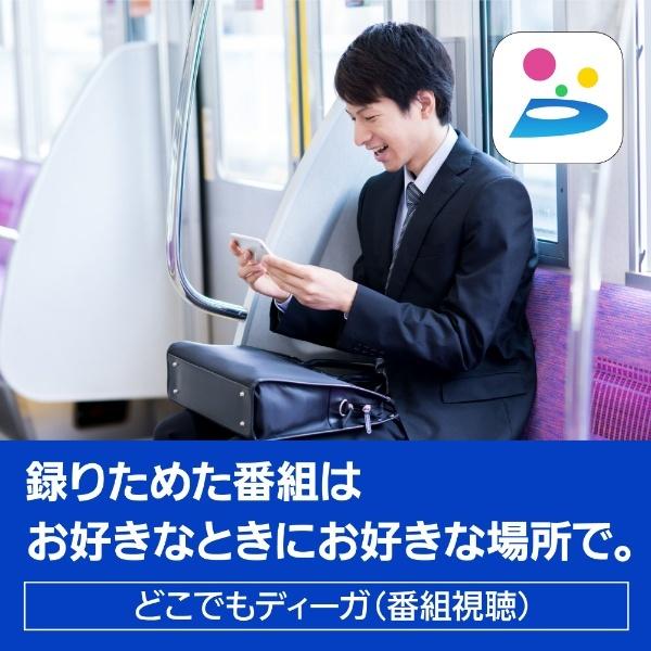ブルーレイレコーダー DIGA DMR-2W101 1TB 2番組同時録画 【速】