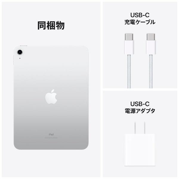 アップル Apple iPad 第10世代 A14 Bionic 10.9型 Wi-Fiモデル ストレージ：256GB MPQ83J/A シルバー｜bakuyasuearth｜08