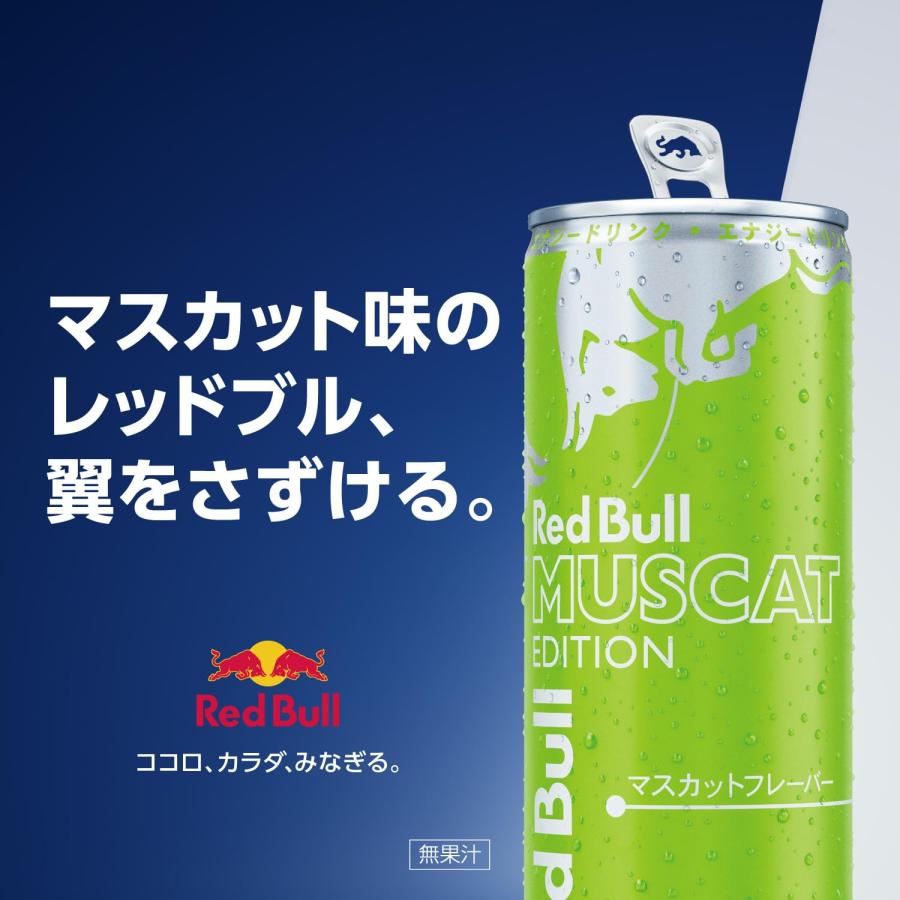 レッドブル（RedBull） エナジードリンク グリーンエディション 250ml