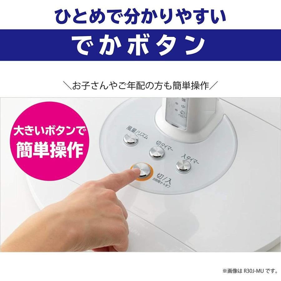 三菱（MITSUBISHI） 三菱電機 Mitsubishi Electric R30J-RW-R リビング
