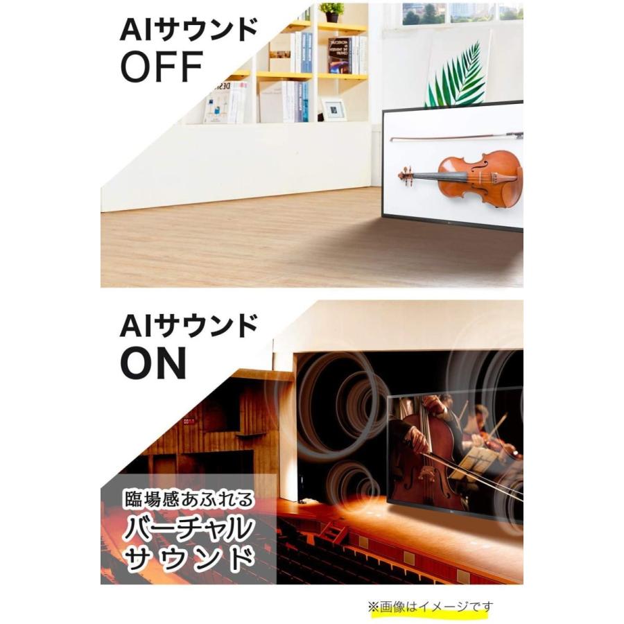 LGエレクトロニクス LG 49V型 4Kチューナー内蔵 液晶テレビ LGエレクトロニクス LG 49V型 4Kチューナー内蔵 液晶テレビ