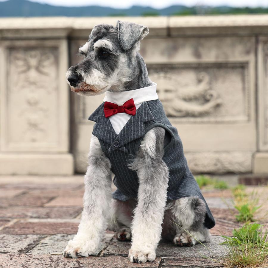 犬の洋服 S・M・L・XL・XXLサイズ タキシード チャコールグレー色