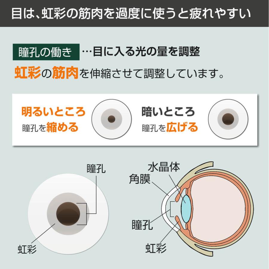 【訳あり】アウトレット品 デスクライト led 自然光デスクライト 白 ホワイト 目に優しい 仕事 勉強 子供 照明士推奨 演色性 Ra 95 学習机 おススメ 1年保証の画像