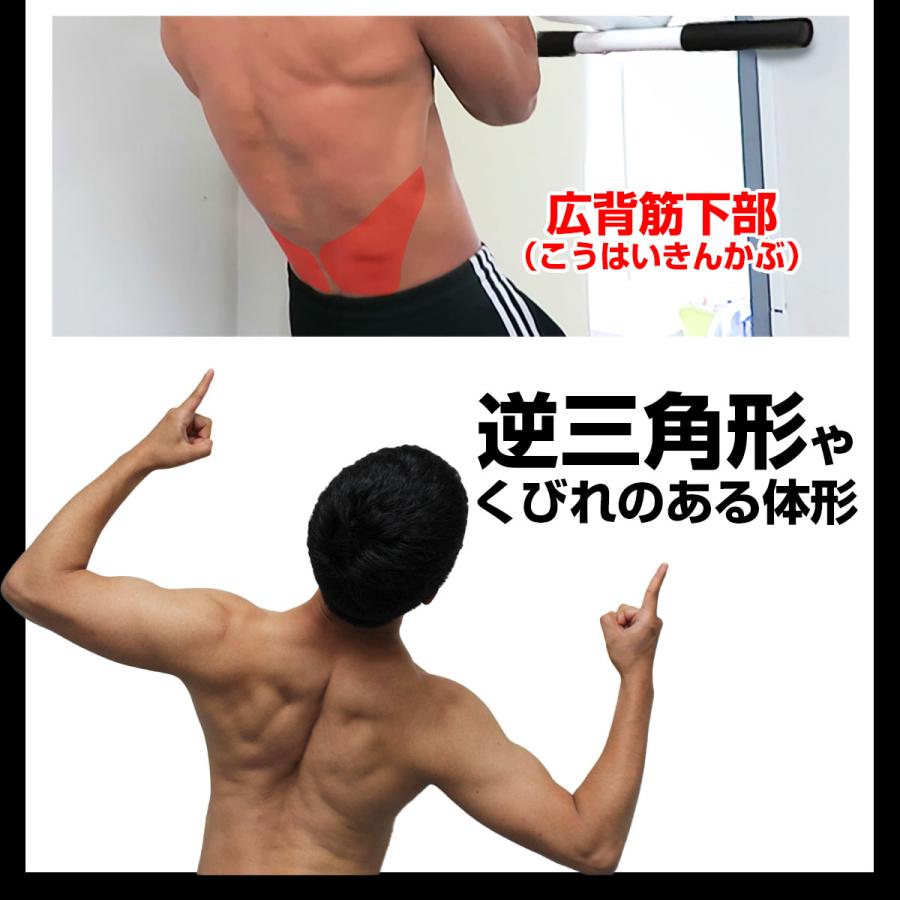 バランスボディ研究所 懸垂 バー ドア マシン ドアジム 筋トレ 自宅