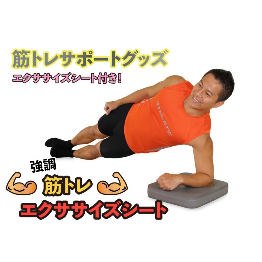 バランスワン　バランスパッド（ブルー）[ダイエットグッズ 体幹トレーニング 器具 エクササイズ 筋トレ] |  | 05