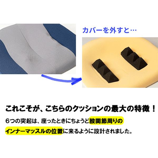 Marubishi 丸菱工業 deep6 ディープシックス 座布団 クッション 股関節
