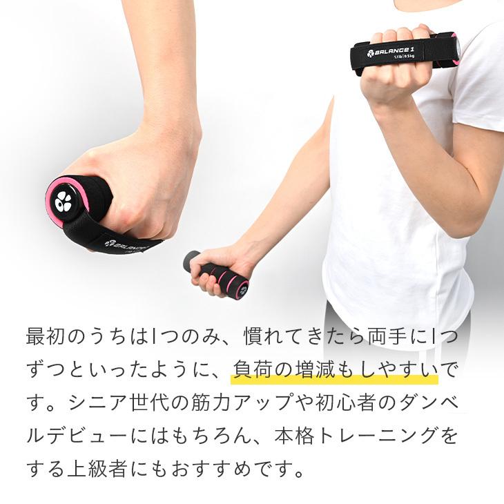 ミニ ダンベル セット バランスワン 軽量 ハンド リスト ウエイト 0.5