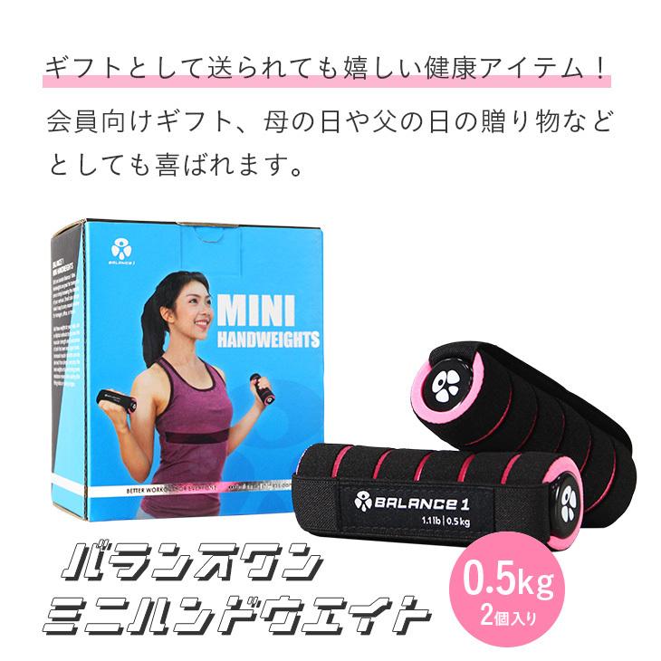 ミニ ダンベル セット バランスワン 軽量 ハンド リスト ウエイト 0.5