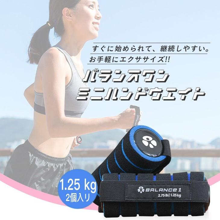 ミニ ダンベル セット バランスワン 軽量 ハンド リスト ウエイト 1.25