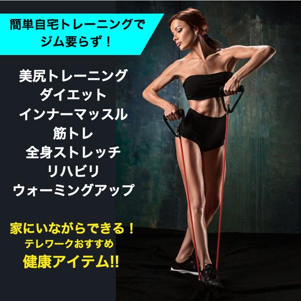 バランスワン Balance1 トレーニング ゴム チューブ 強度別 3本セット 収納ポーチ付 体幹トレーニング TPR 自宅で筋トレ |  | 06