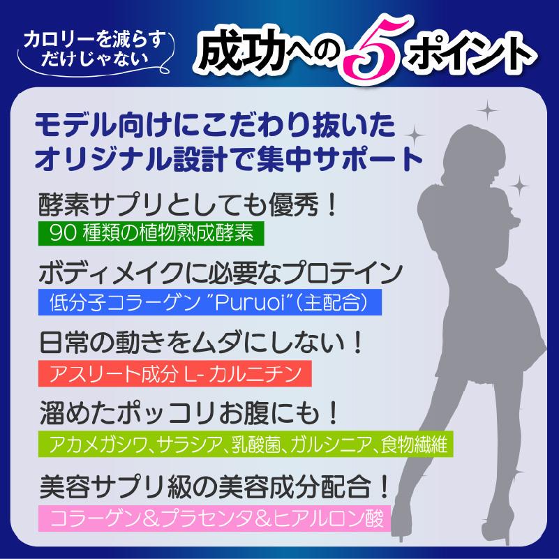 酵素の力でたった5日間 5Daysプレミアムダイエット1箱5包入り 酵素