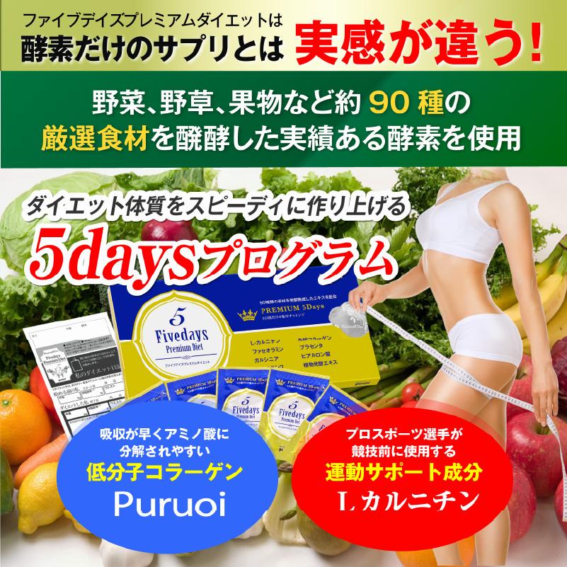 酵素の力でたった5日間 5Daysプレミアムダイエット1箱5包入り 酵素
