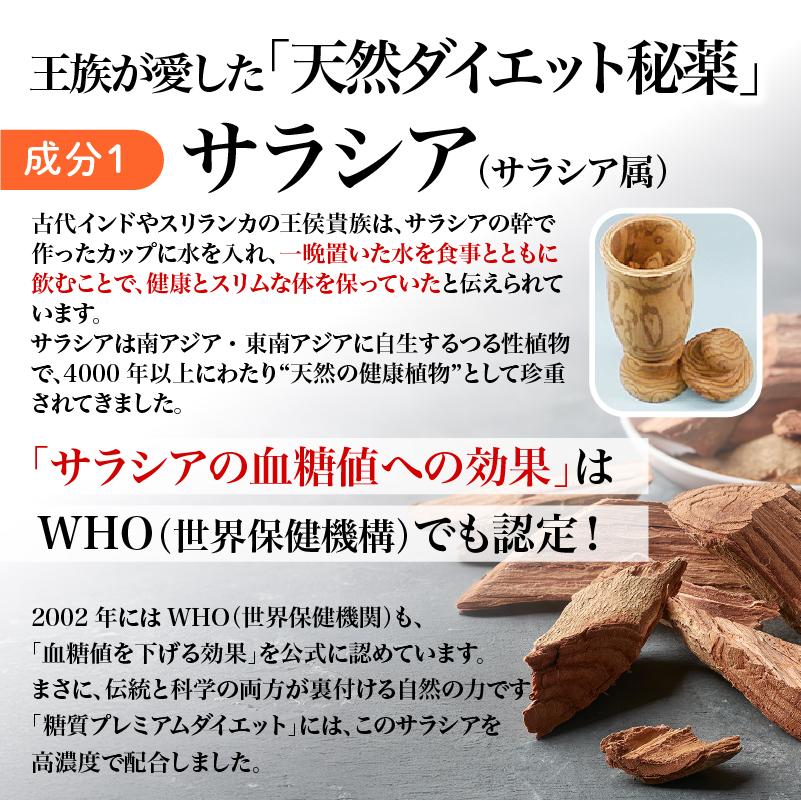 プレミアムダイエットプログラム 大容量200粒入パック】ザ糖質プレミアムダイエット (約100-200日