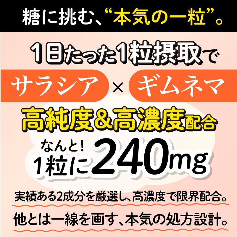 プレミアムダイエットプログラム 大容量200粒入パック】ザ糖質プレミアムダイエット (約100-200日