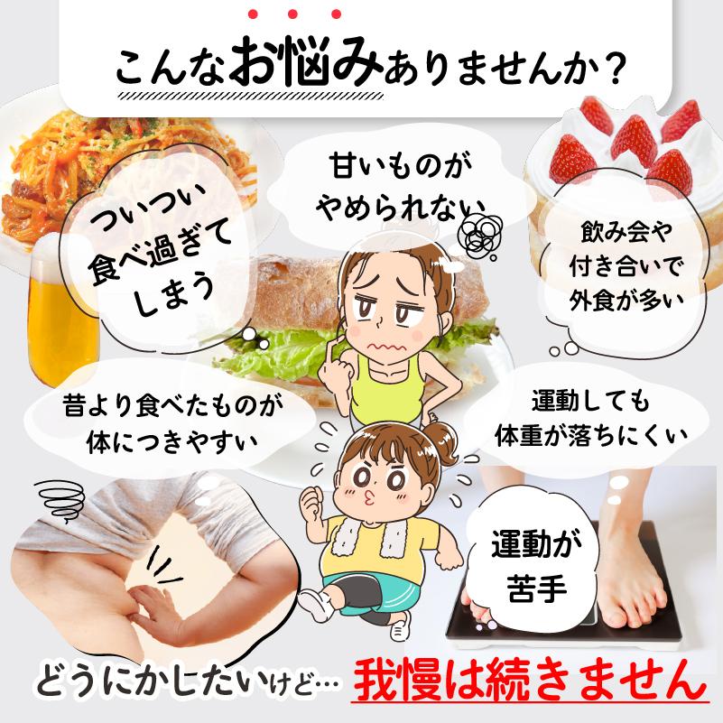 ザ糖質プレミアムダイエット 60粒入パック(約1-2か月分) 【2個以上ご