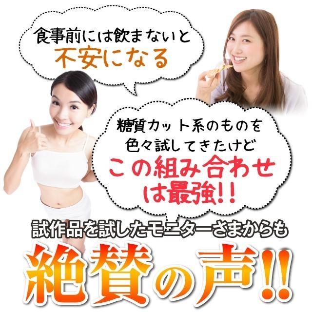 プレミアムダイエットプログラム プレミアムダイエットプログラム 3種類セット 30日分 - メルカリ