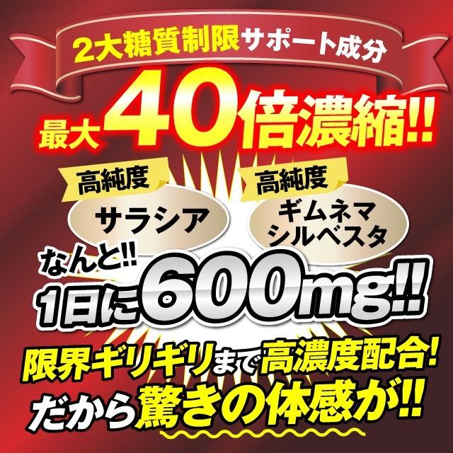 ザ・糖質スーパープレミアムダイエット 30粒入り お試し価格 糖質制限