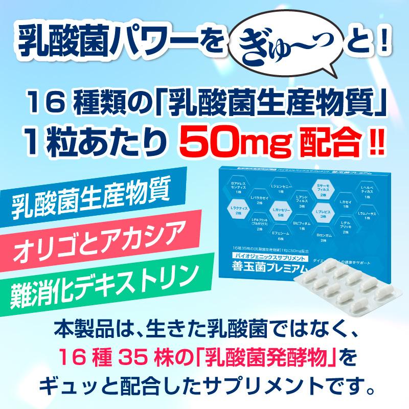 送料無料】善玉菌プレミアム（30粒入）【1日1粒×約1ヶ月分】善玉菌