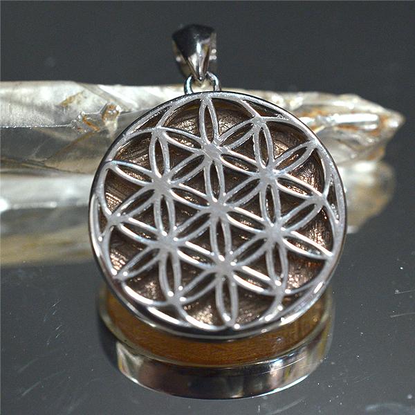 ギベオン ピンクゴールド 隕石 フラワーオブライフ ペンダントトップ レアストーン 