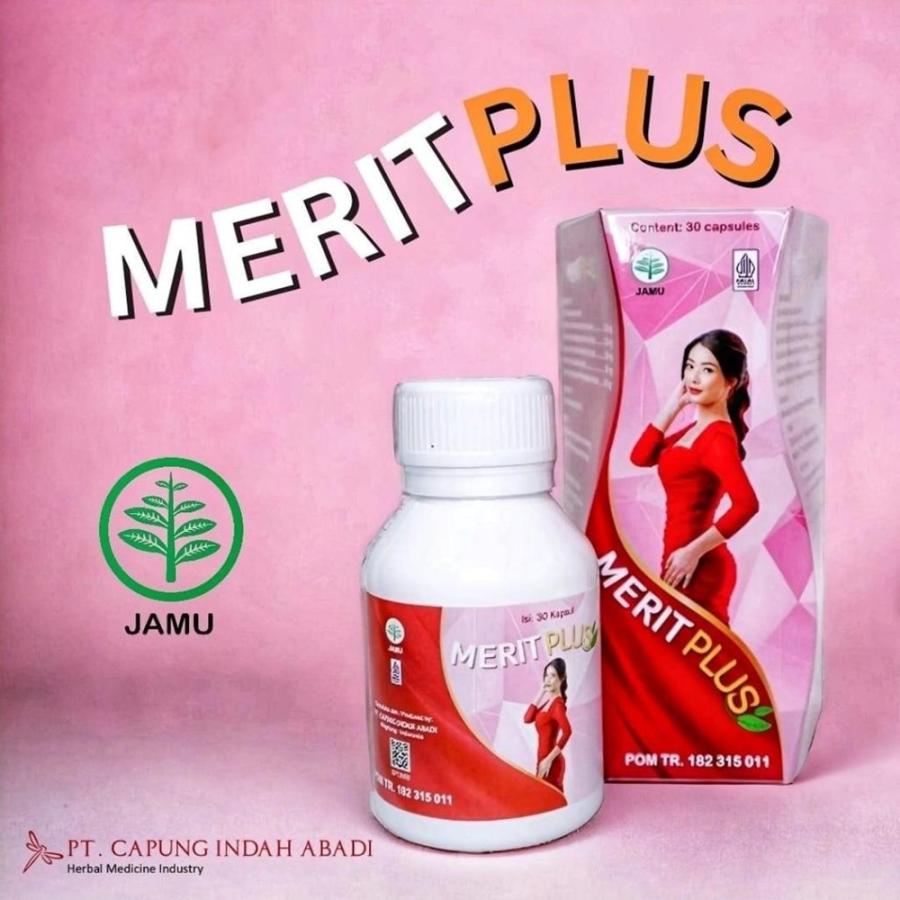 ダイエットサプリ 美麗丸 MERIT PLUS メリットプラス 30カプセル入