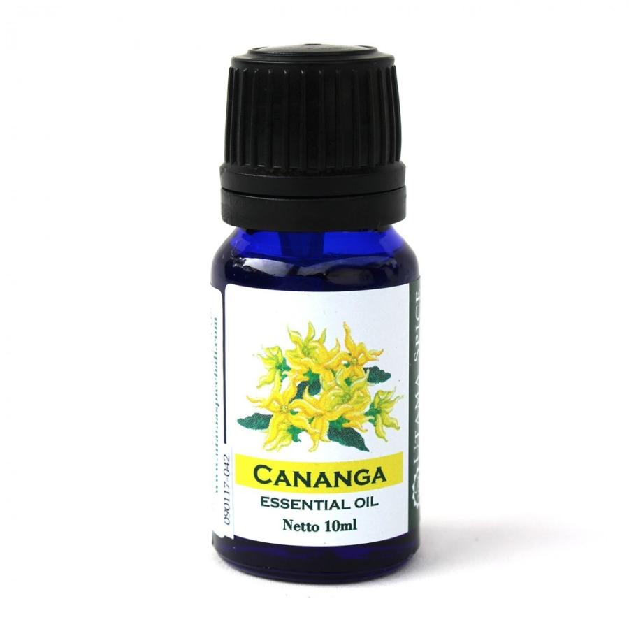 ウタマスパイス Utama Spice エッセンシャルオイル バリ島 精油 アロマオイル Cananga カナンガ 10ml 海外直送品 Utamaspiceessentialoil10cn バリフェスタ 通販 Yahoo ショッピング