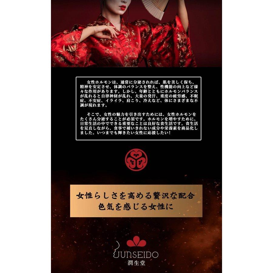 潤生堂 瞬発入魂 しゅんぱつにゅうこん 9粒 Junseido 潤生堂健康研究所 健康食品 健康補助食品 サプリメント 女性ホルモン 女子力 色気 日本製 サニードラッグ西川口総本店 通販 Yahoo ショッピング