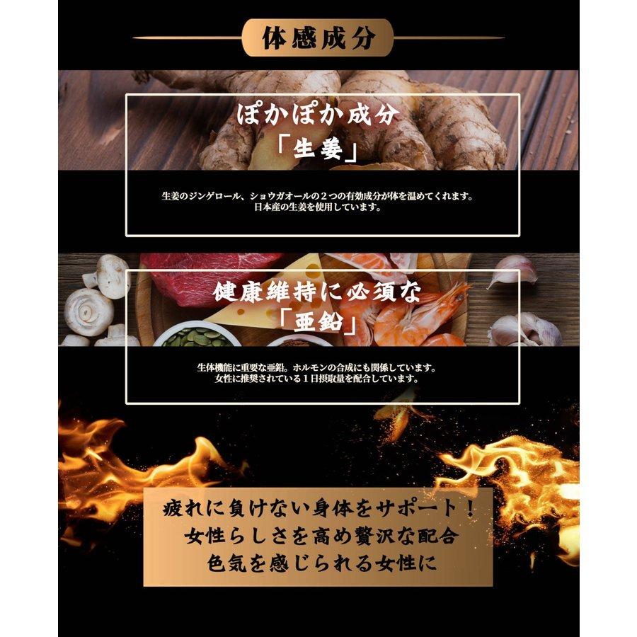 潤生堂 瞬発入魂 しゅんぱつにゅうこん 9粒 Junseido 潤生堂健康研究所 健康食品 健康補助食品 サプリメント 女性ホルモン 女子力 色気 日本製 サニードラッグ西川口総本店 通販 Yahoo ショッピング