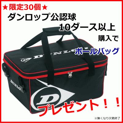 超格安一点 ソフトテニス ソフトテニスボール 公認球 イエロー 10ダース入りバスケット Dstbyl2cs1 ダンロップ ダンロップ ボール Www Mathurahub Com