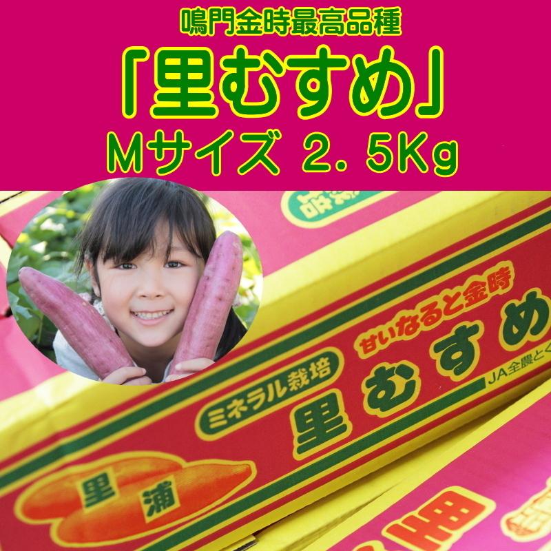 鳴門金時最高品種「里むすめ」Ｍサイズ／２．５Kg　【今期の販売は終了いたしました。次回9/15よりお届けいたします。】｜ballantaine1983