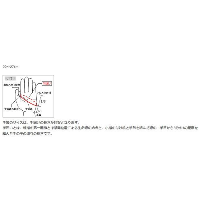 ミズノ バッティンググラブ ミズノプロ シリコンパワーアークLI 高校野球ルール対応モデル バッティンググローブ バッティング手袋 一般 大人 (両手用) 1EJEH200｜ballclub-b｜09