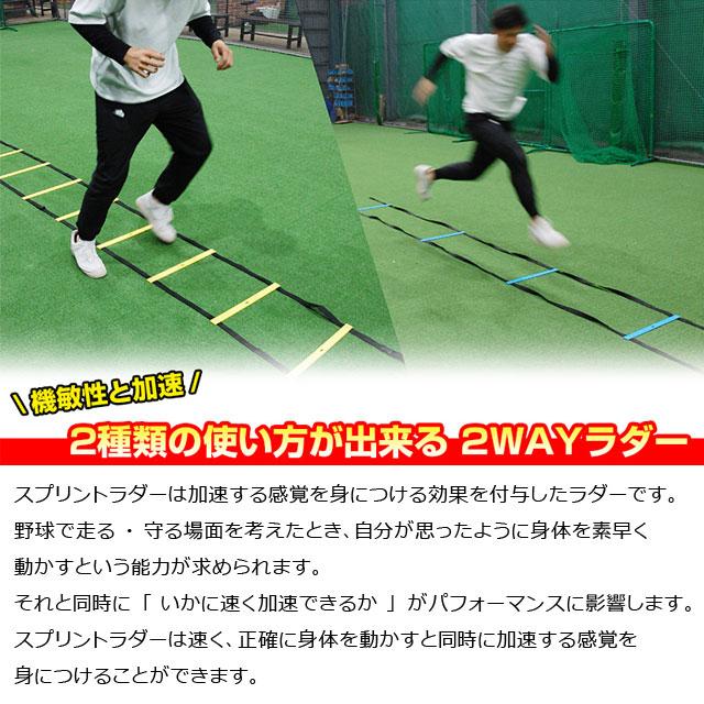 トレーニング用品 スプリントラダー セット 8m 2Way フィールドフォース 機敏性 加速 脚力トレーニング FSL-800｜ballclub-b｜02