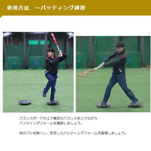 FIELD FORCE（フィールドフォース） バランスボード トレーニング 体幹