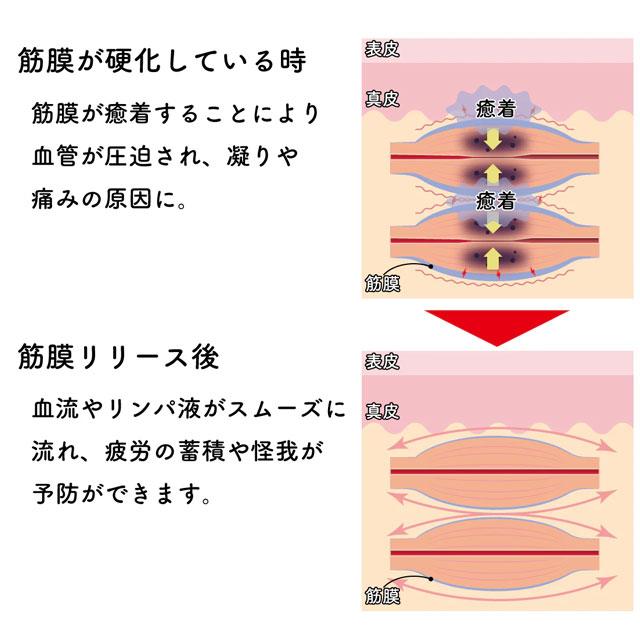 フィールドフォース マッサージ棒 筋膜はがし ケア用品