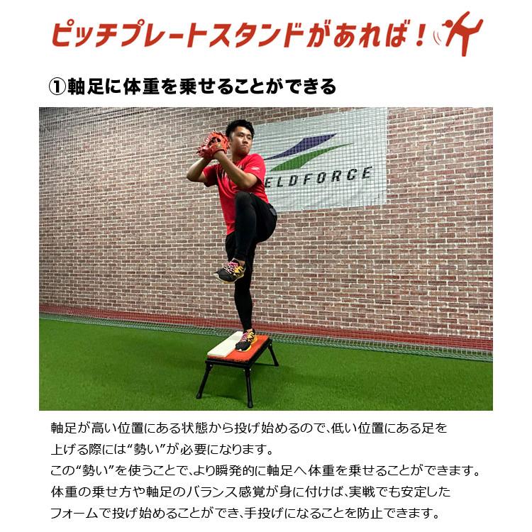 フィールドフォース ピッチプレートスタンド 投球練習 投手 ピッチャー用 ピッチプレート(別売り)専用 折りたたみ FPP-1046ST FIELD FORCE（フィールドフォース） ピッチプレートスタンド 投球練習