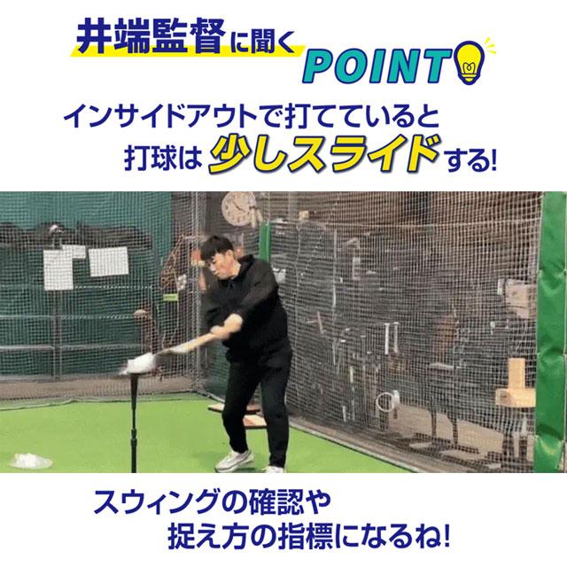 フィールドフォース セーフティーキューブ 6個入 バッティング練習