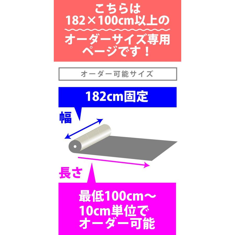 10cm単位 オーダーページ 送料無料 バレエ ダンス専用 床マット 10cm単位 オーダーページ 送料無料 バレエ ダンス専用 床マット