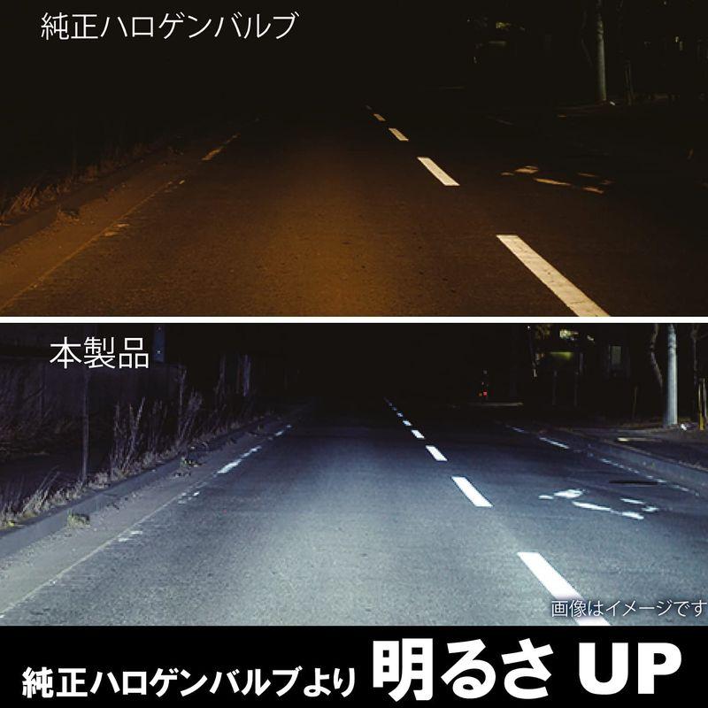 ネット卸し売り カーメイト 車用 LED ヘッド & フォグバルブ GIGA ギガ